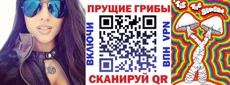 Псилоцибиновые грибы Psilocybine cubensis  Энгельс 