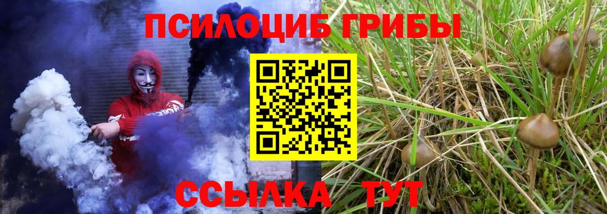 Псилоцибиновые грибы Psilocybe  Вход с VPN  Энгельс 