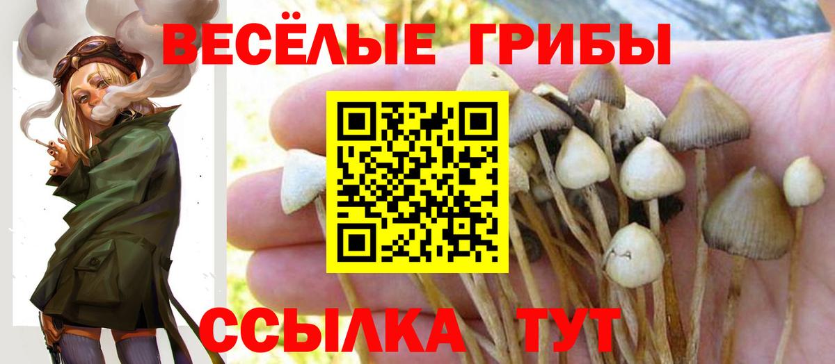 COCAIN  Энгельс  A-PVP СК кристаллы  Гашиш  ГАШ  Канабис  Мефедрон   Вход с VPN 